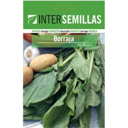 Llavor Borratja flor blanca
