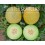 Semilla melón Galia F1 (híbrida) (Galia convencional) (1.000 semillas)
