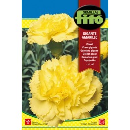 Semilla Clavel gigante amarillo