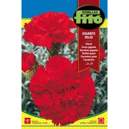 Semilla Clavel gigante rojo