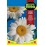 Graine de Marguerite Blanche d'Alaska.