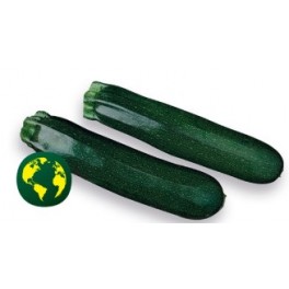 Graine de Courgette Calnegre F1 (hybride) (1.000 graine)