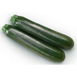 Graine de Courgette Leonardo F1 (hybride) (1.000 graine)