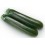 Graine de Courgette Leonardo F1 (hybride) (1.000 graine)