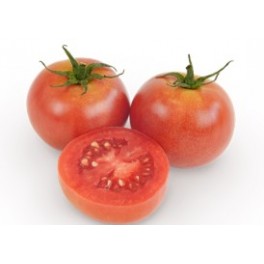 Graine tomate Sarristra F1 (hybride) (1.000 graine)