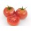 Semente de tomate Sarristra F1 (híbrida) (1.000 semente)