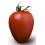 Semilla tomate Esturion F1 (híbrida) (1.000 semillas)