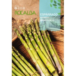 Semilla espárrago F-2 UC-157 (híbrida) (blanco y verde)