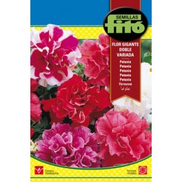 Graine de pétunia à fleurs géantes variées.