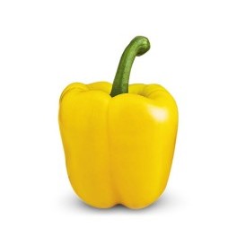 Semilla pimiento Madagascar F1 (híbrida) (1.000 semillas)