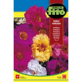 Semilla Portulaca doble variada