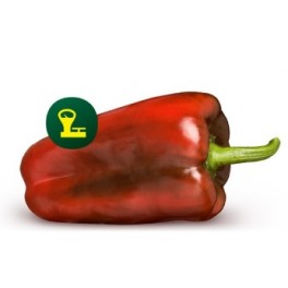 Semente de pimenta Ramonete F1 (híbrida) (1.000 sementes)