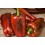 Semente de pimenta Ramonete F1 (híbrida) (1.000 sementes)