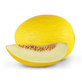 Semilla melón Robleo  F1 (híbrida) (1.000 semillas)