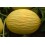 Semilla melón Robleo  F1 (híbrida) (1.000 semillas)