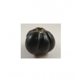Semilla tomate negro (ecológica)