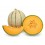 Graine Melon Jacob F1 (hybride) (1 000 graines)