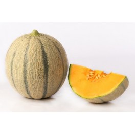 Semente de melão Claudio F1 (híbrida) (1.000 sementes)