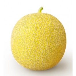 Semilla melón Grazalema F1 (híbrida) (1.000 semillas)