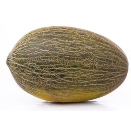 Graine Melon Lindero F1 (hybride) (1 000 graines)