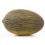 Graine Melon Lindero F1 (hybride) (1 000 graines)
