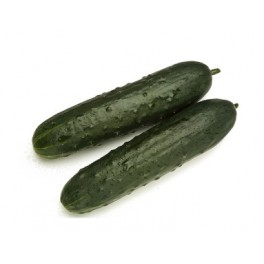 Semente de pepino Granada F1 (híbrida) (1.000 sementes)