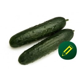 Semente de pepino Normando F1 (híbrida) (1.000 sementes)