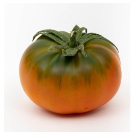 Graine tomate Marmartinez F1 (hybride) (1 000 graines)