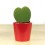 Cactus flor 3 (test 5,5 cm ø)