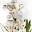 Orquídia Cymbidium