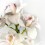 Orquídia Cymbidium