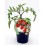 Planter tomàquet cherry garden berry natural (test 10,5 cm Ø)
