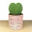 Cactus (maceta 5,5 cm ø)