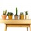 Cactus (maceta 5,5 cm ø)
