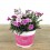 Beijos Cravos Rosa (vaso 13 cm ø)