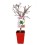 Amande naine Garden Prince (pot de 7 litres)