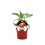 Plantel pimiento rojo hibrido Estrella natural (6 unidades)