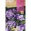 Bulbe de freesia
