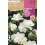 Bulbe de freesia