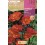 Bulbe de freesia