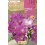 Bulbe de freesia