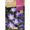 Bulbe de freesia