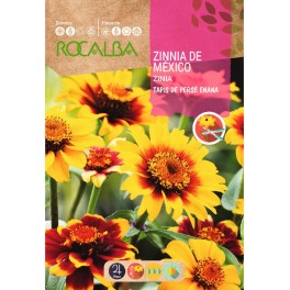 Llavor zinia de Mèxic tapis de perse nana variada
