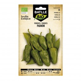 Semente de pimento padron (orgânico)