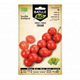 Semilla tomate colgar (ecológica)