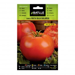 Graine de tomate Balarga