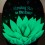 Echeveria puntas fluorescentes en la oscuridad (maceta 12 cm ø)