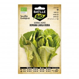 Graine de Laitue romaine longue blonde (biologique)