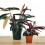 Calathea Triostar