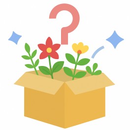 Caixa surpresa de plantas